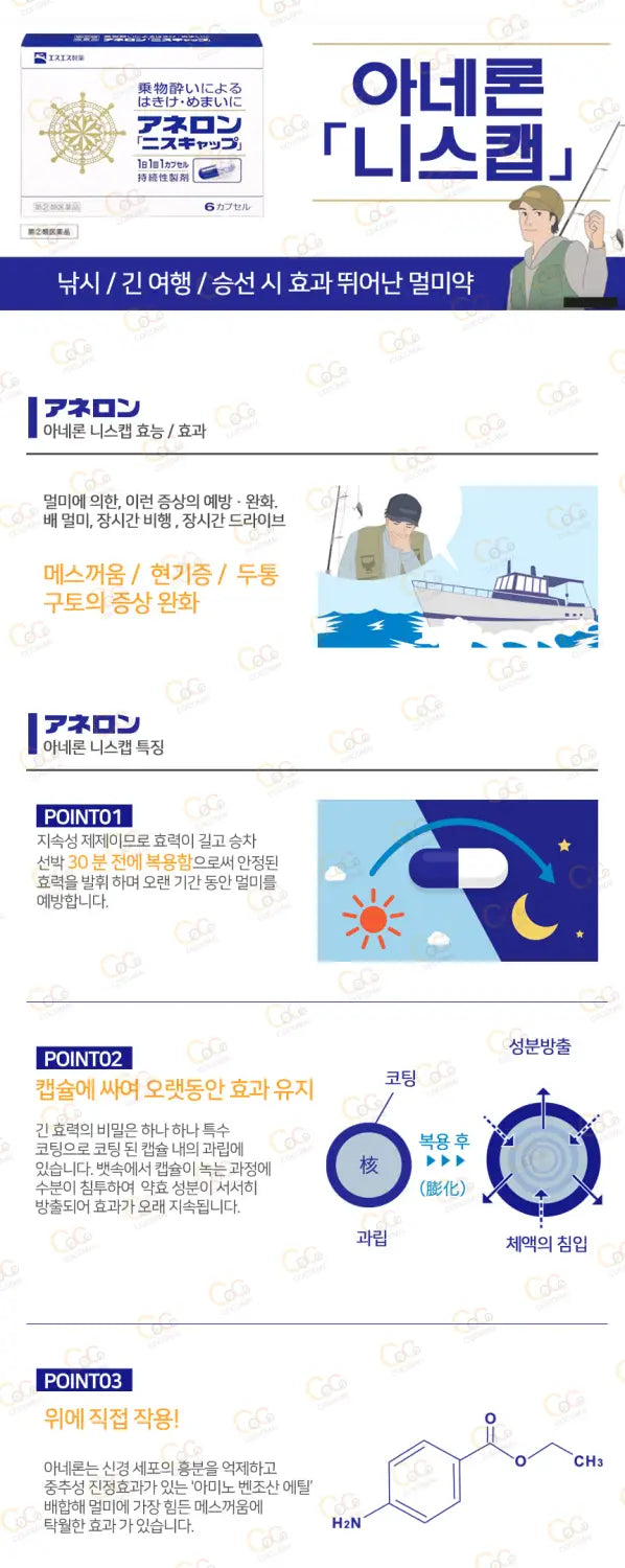 아네론 10정