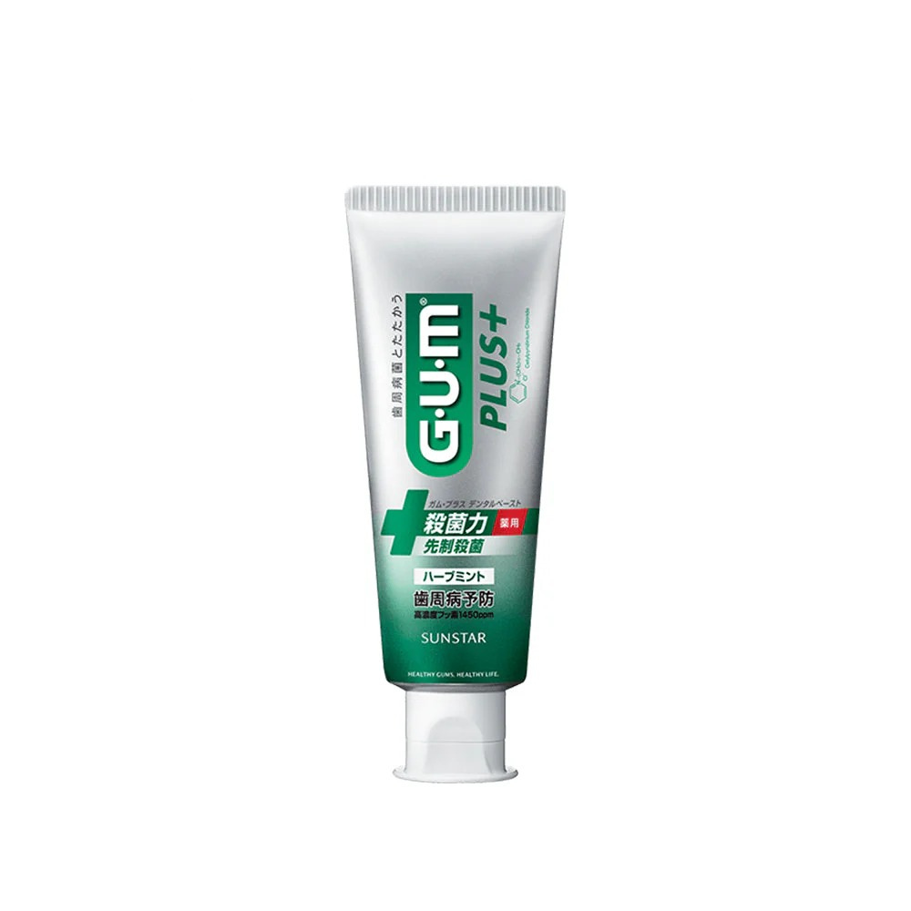 GUM 검 플러스 덴탈 페이스트 치약 2종류 - 허브 민트(초록) - 생활용품