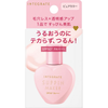 Face Powder