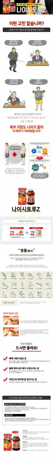 나이시토루Z 315정/420정